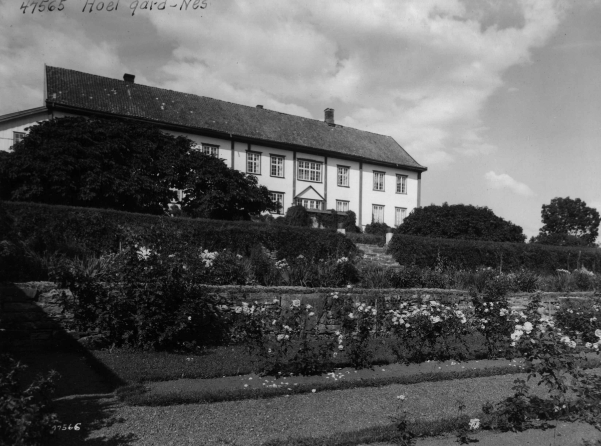 Anders Beer Wilse, Hoel gård Hage