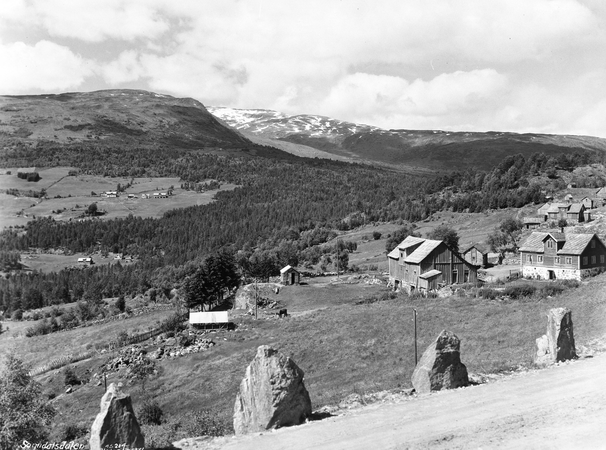 Anders Beer Wilse, Prot: Sogndalen Salseng gård