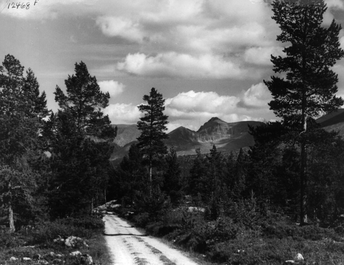 Anders Beer Wilse, Sølen, Misterdalsvn., Samferdsel