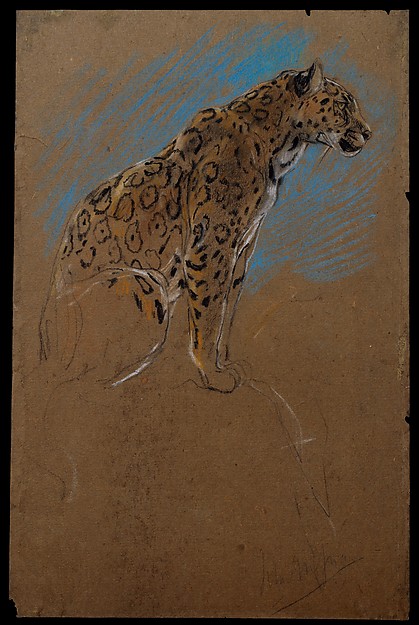 John Macallan Swan, Study of a Jaguar