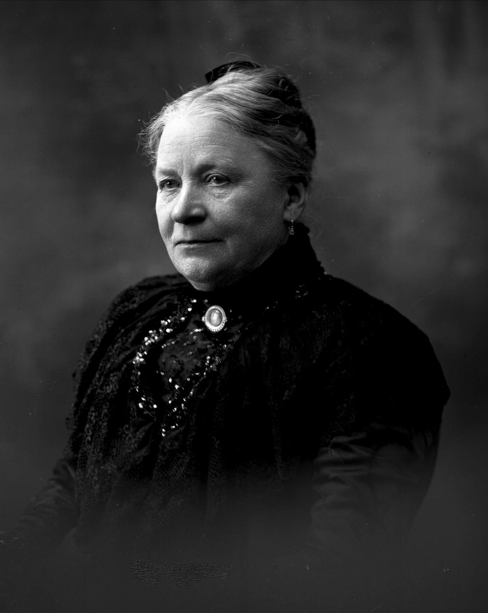Gustav Borgen, NFB.01341