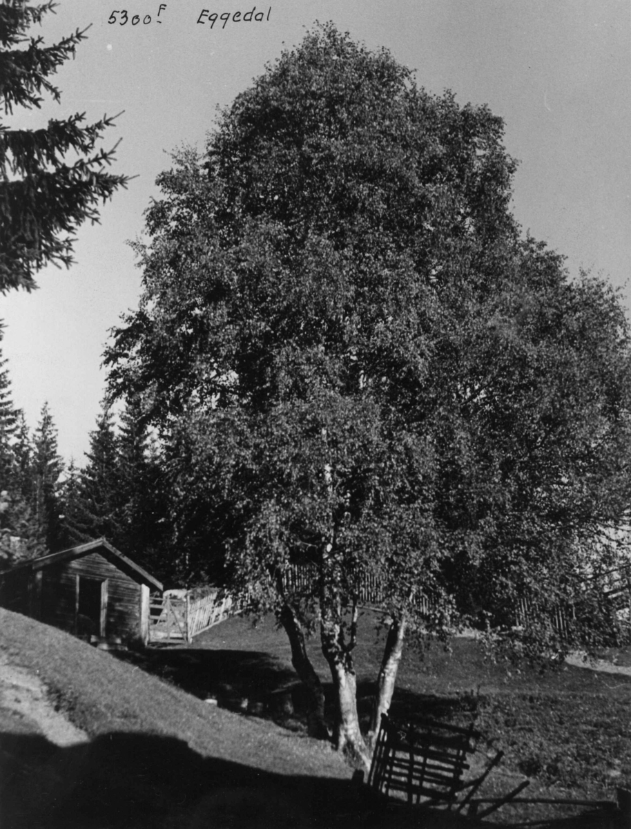 Anders Beer Wilse, Skredsvigs hjem