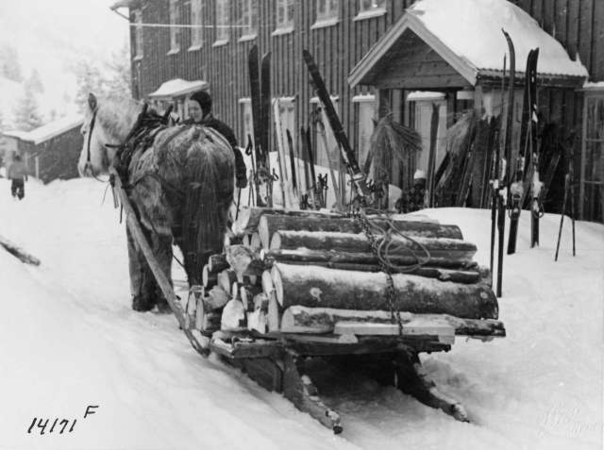 Anders Beer Wilse, -8575
