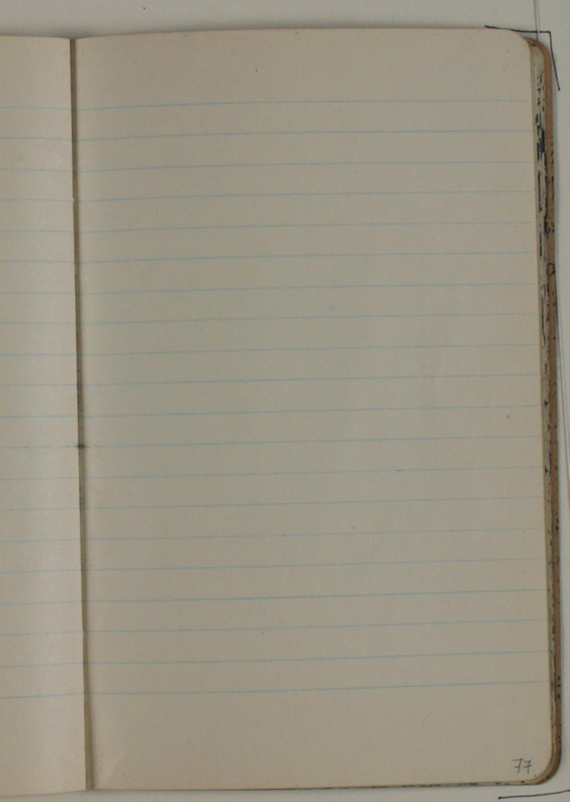 Niels Larsen Stevns, Blank