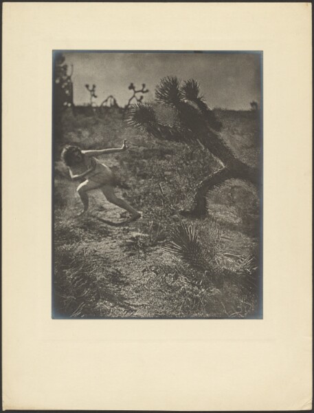 Louis Fleckenstein, Bogey Man of the Desert