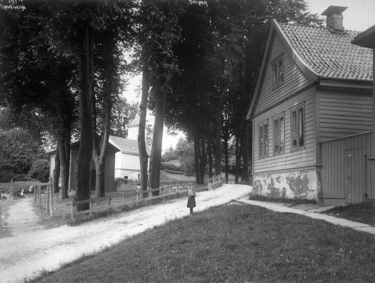 Anders Beer Wilse, Topografi, Elsero