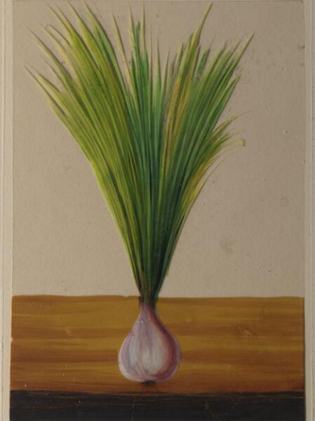 Unknown, One of twelve drawings of fruits and vegetables.