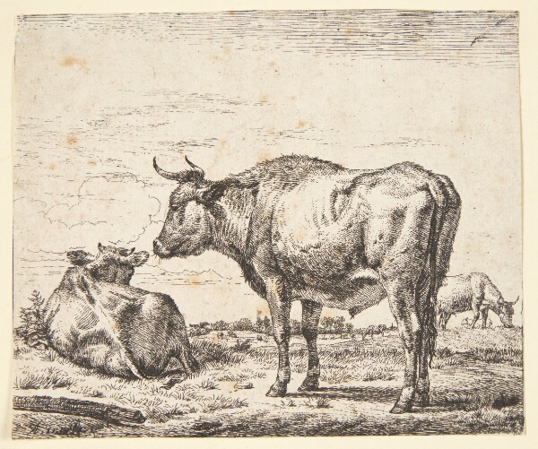 Adriaen van de Velde, Stående tyr