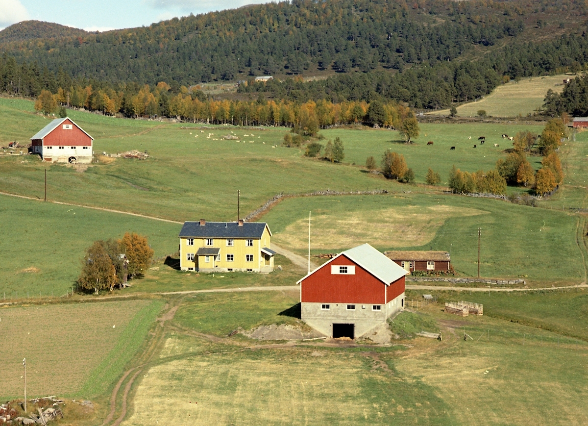 Widerøes Flyveselskap A/S, Flyfoto
