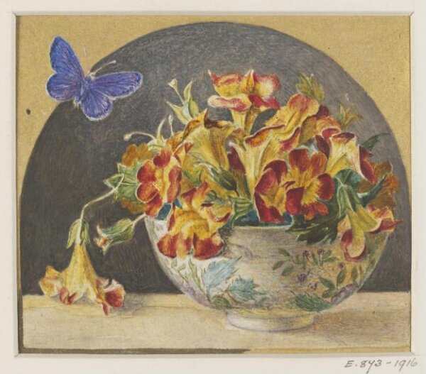 Unknown, Drawing