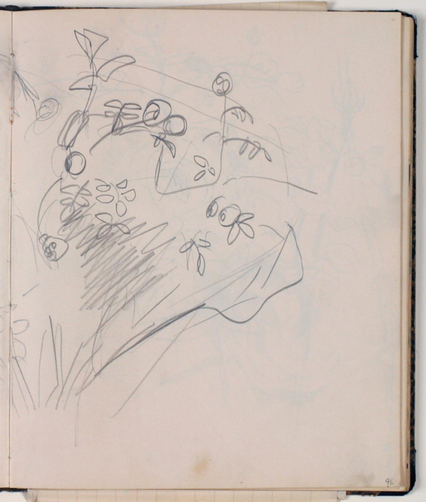 Niels Larsen Stevns, Plantestudier