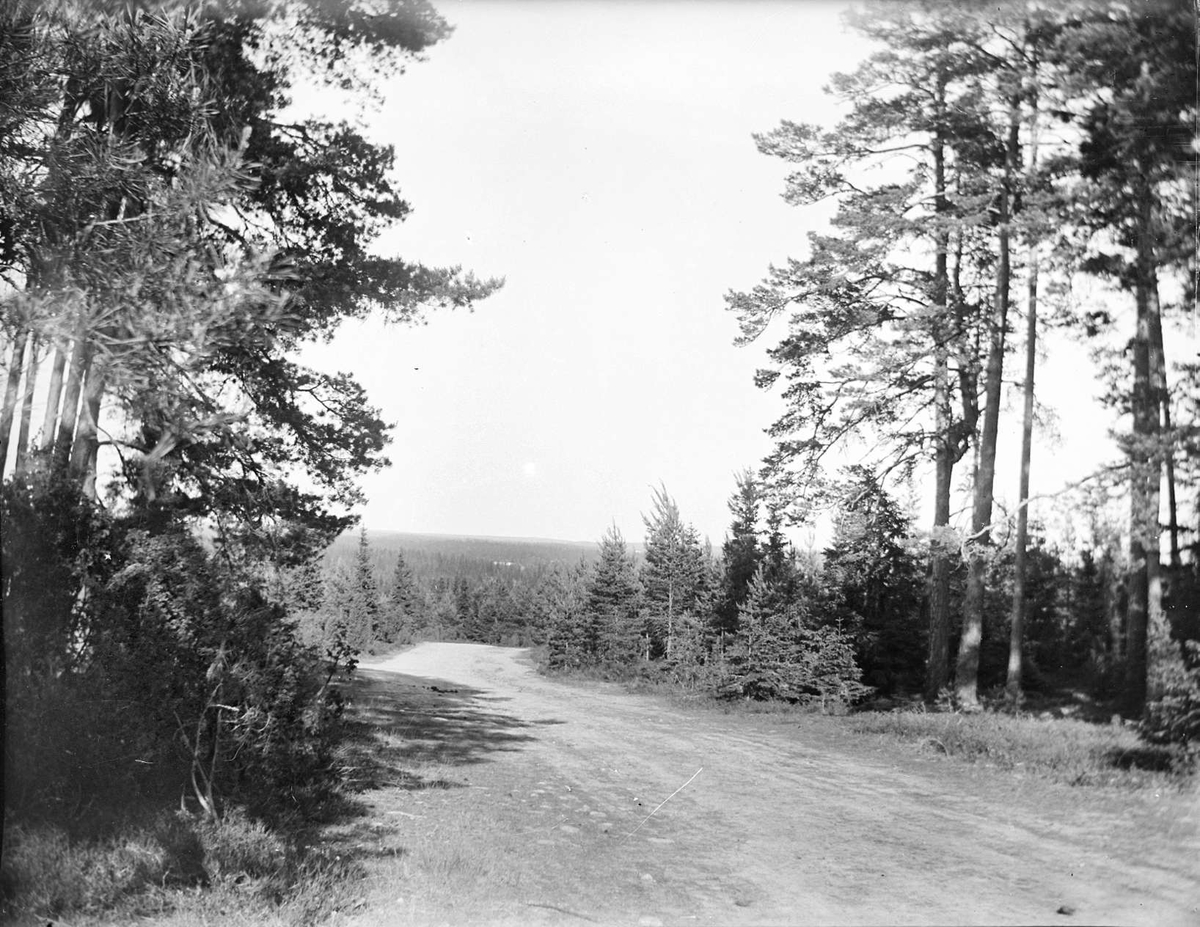 August Fredrik Schagerström, Landscape view and road at Molnebo, Västerlövsta parish, Uppland in May 1921