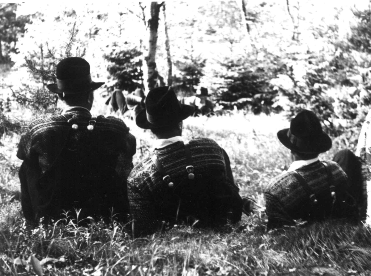 Anna Grostøl, Valle Setesdal, Aust-Agder 1939. Bondetevne. Tre gutter sitter og ser på folkelivet.