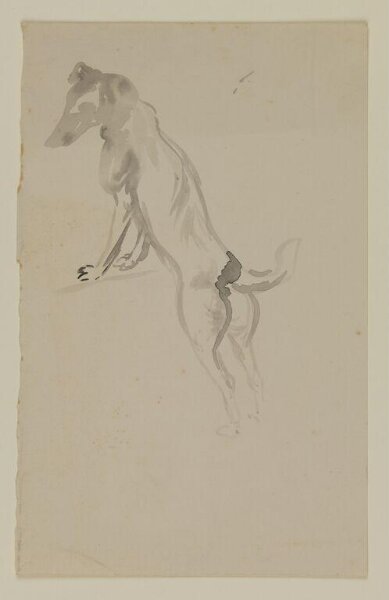 Potter, Beatrix, drawing