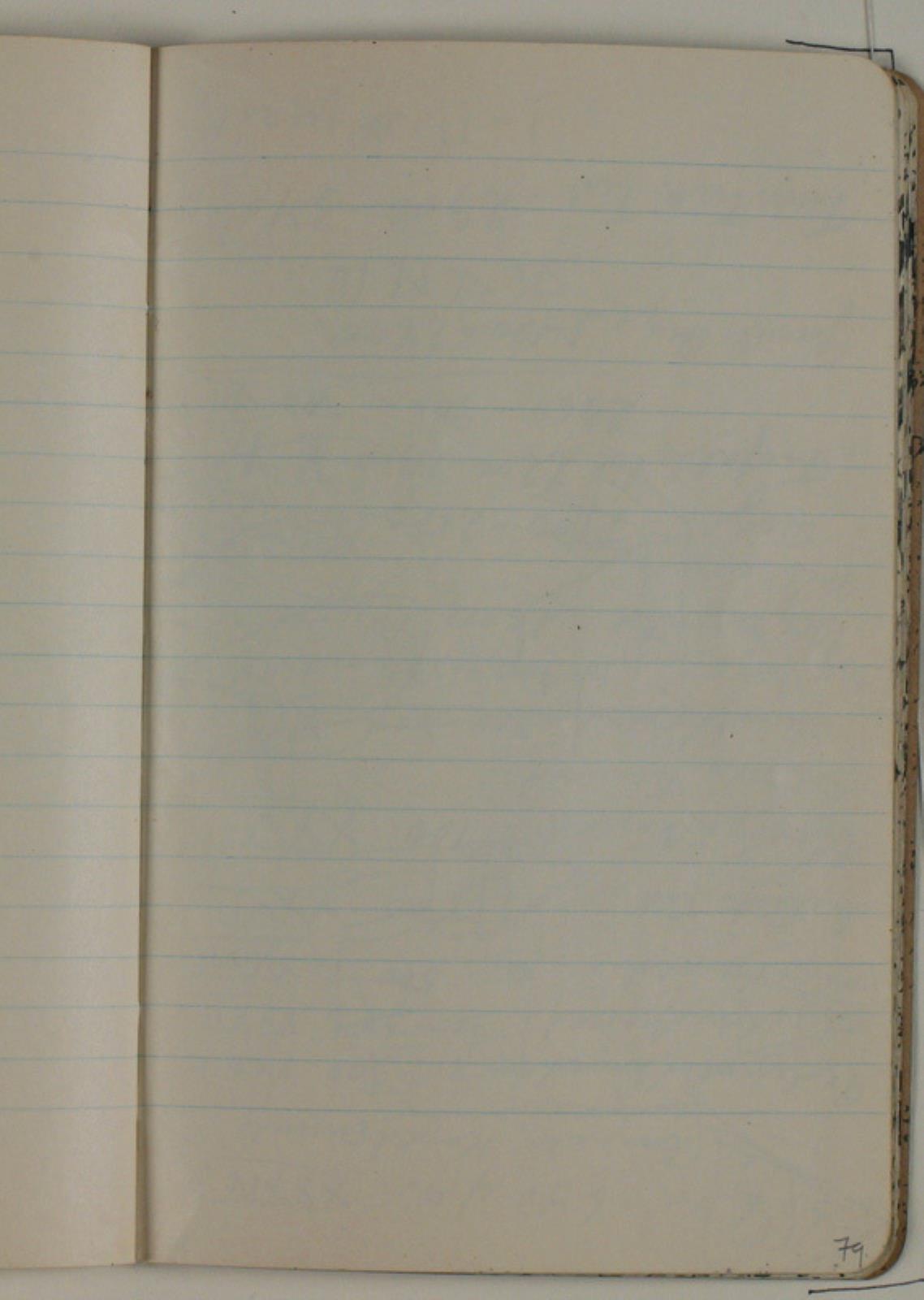 Niels Larsen Stevns, Blank