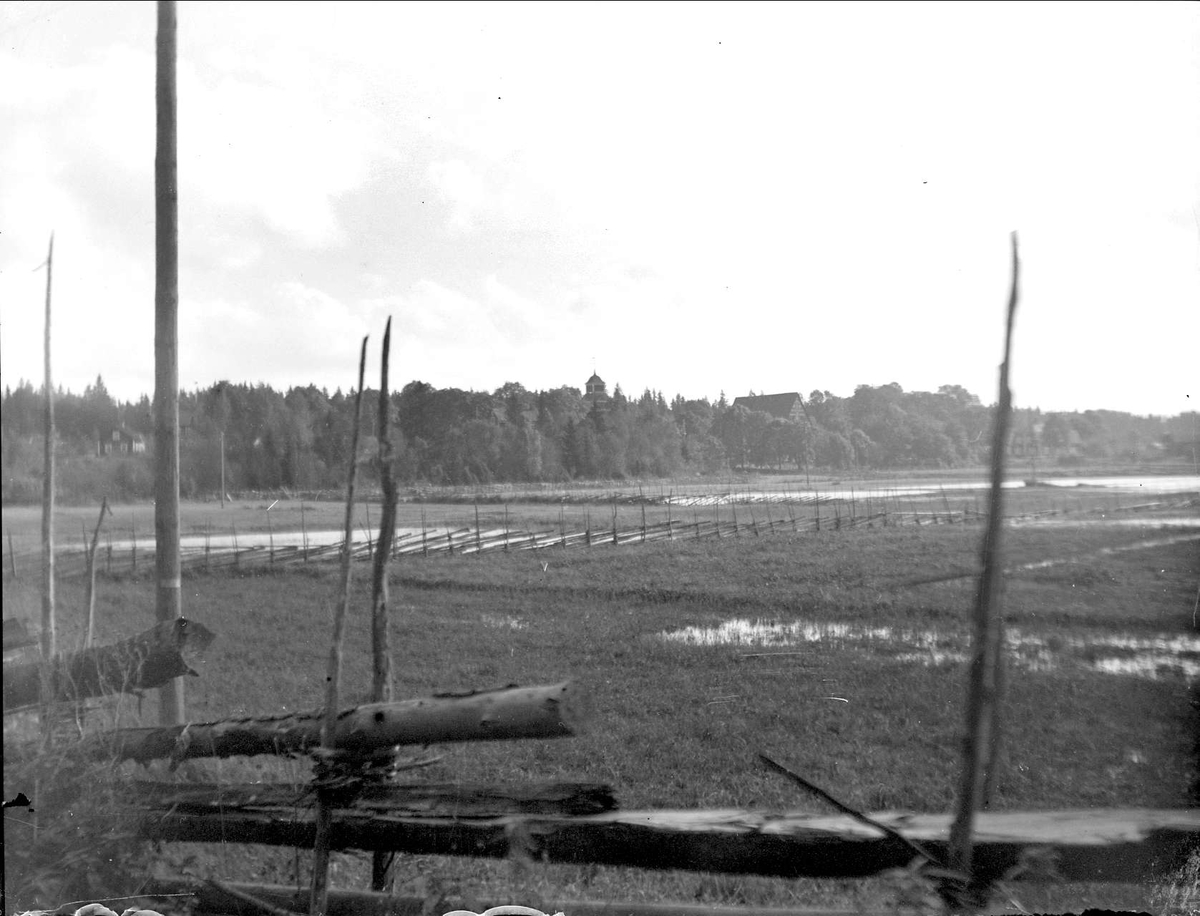August Fredrik Schagerström, Flooded shorebeds on the Lake Kyrk near Tegelsmora Church, Tegelsmora parish, Uppland in September 1927