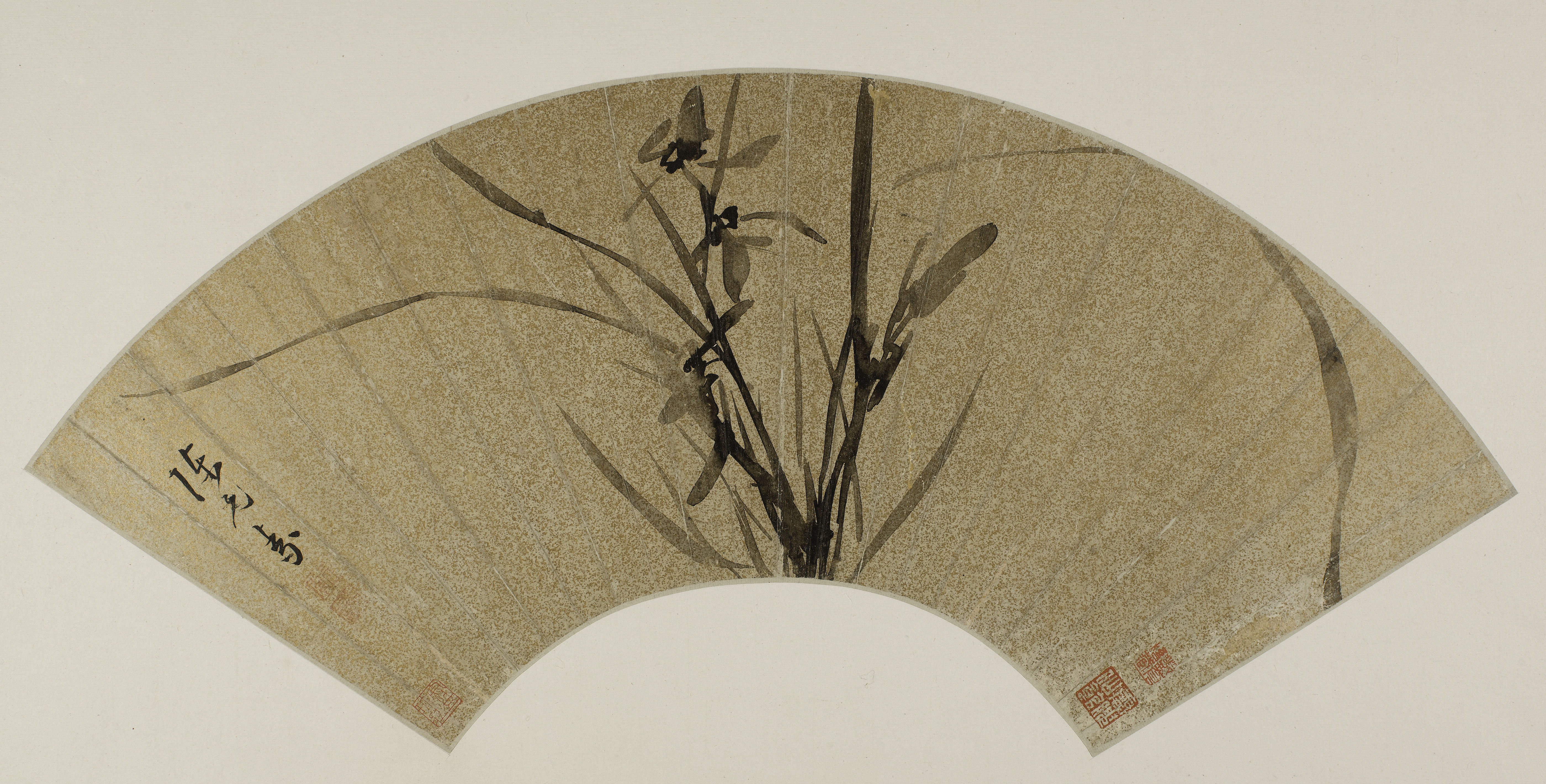 Yuansu Chen, Orchidées