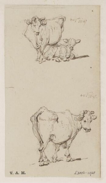 George Chinnery, A cow, and a cow with a calf