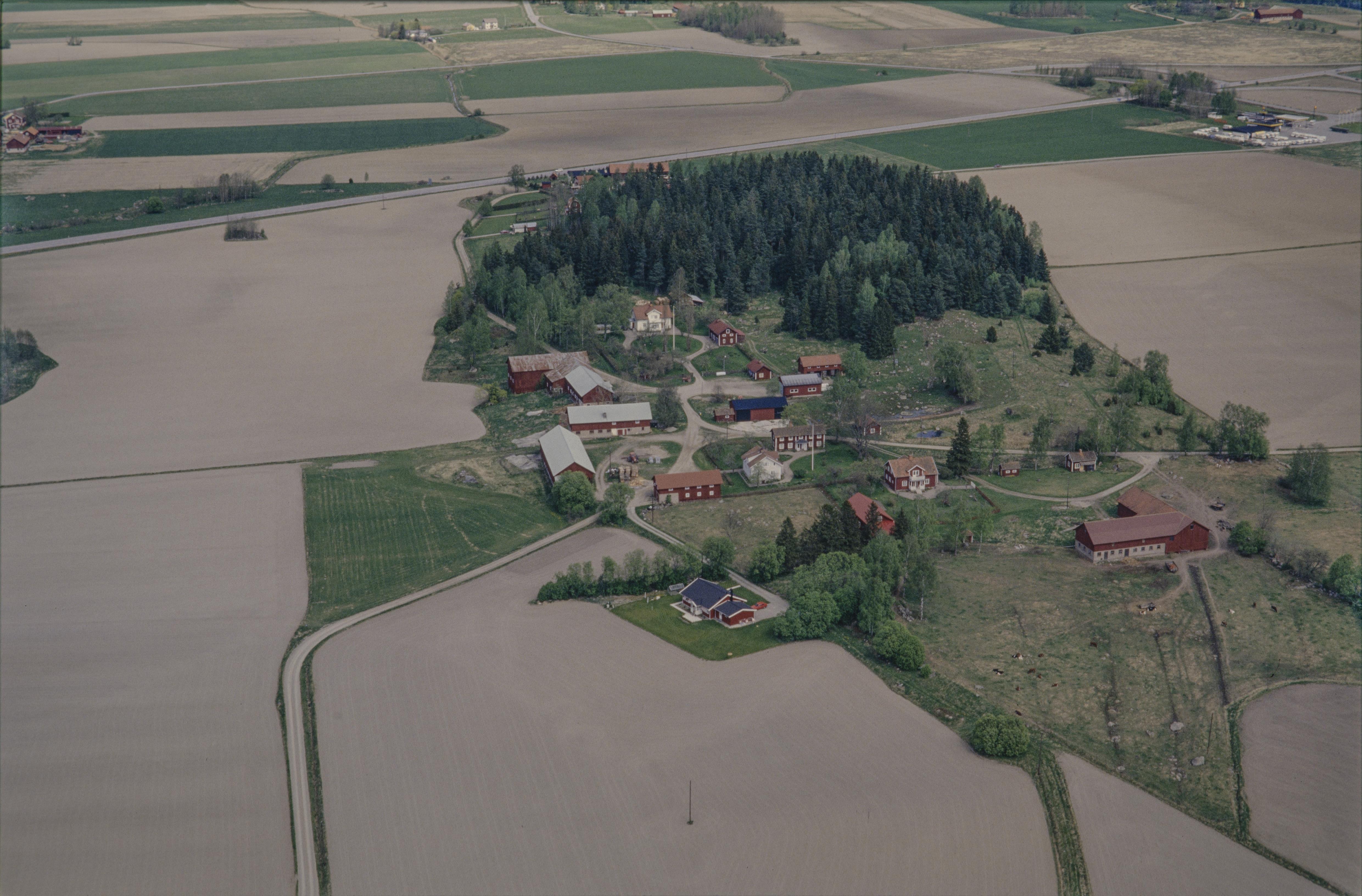 Jan Norrman, Munktorp 132:1