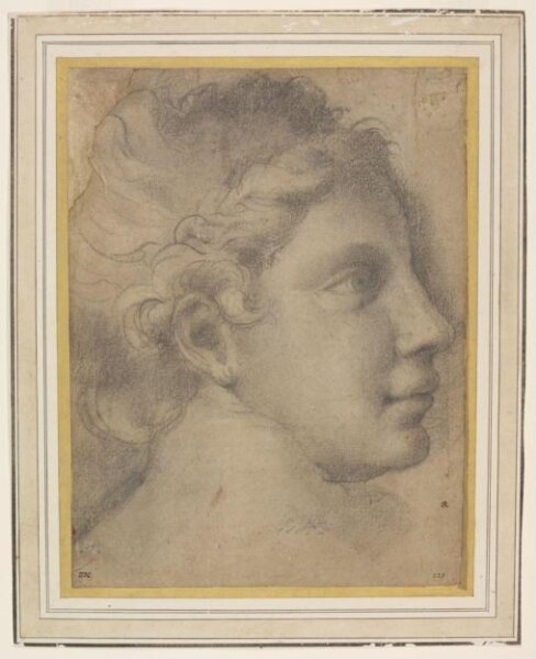 Raphael, Drawing