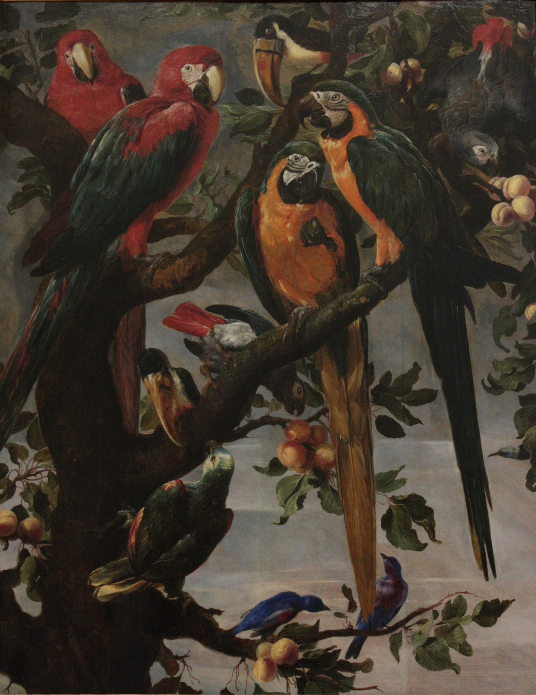 Frans Snyders, Perroquets et autres oiseaux