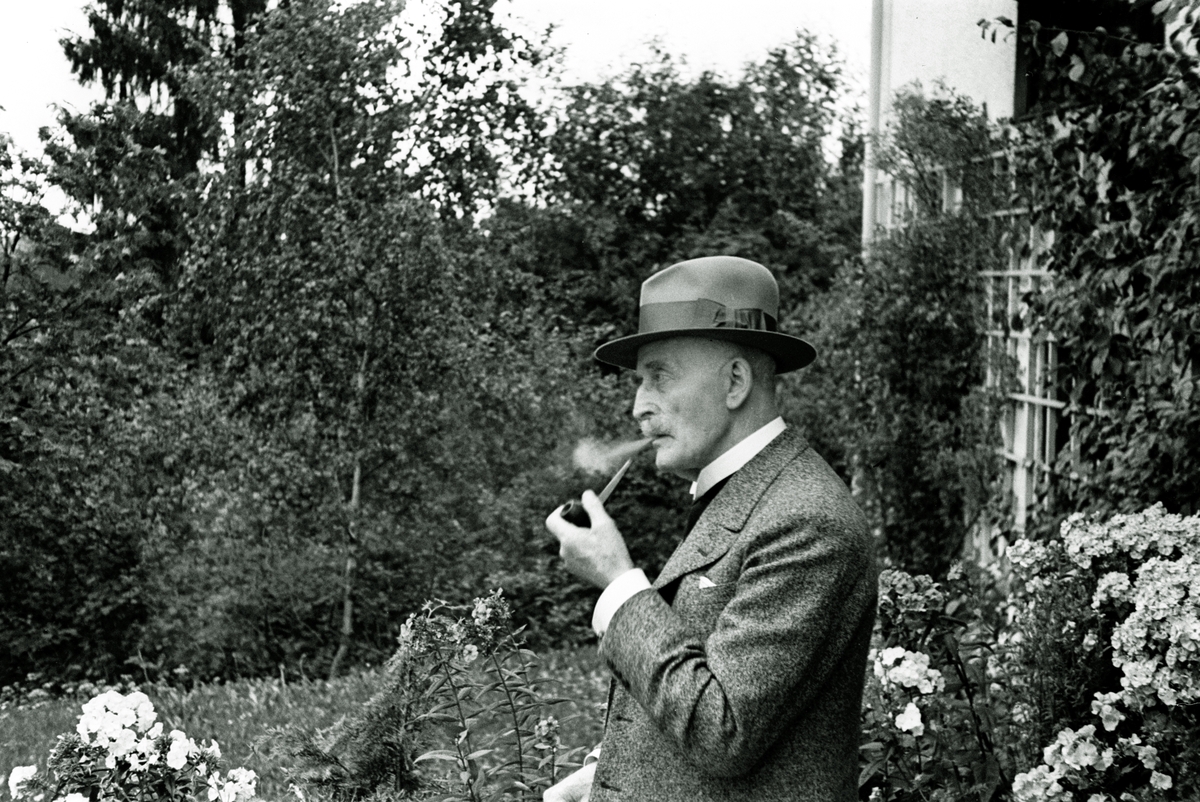 Anders Beer Wilse, Prot: Hamsun Knut