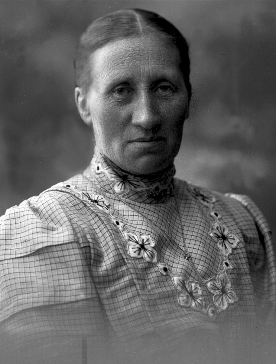 Gustav Borgen, NFB.05362