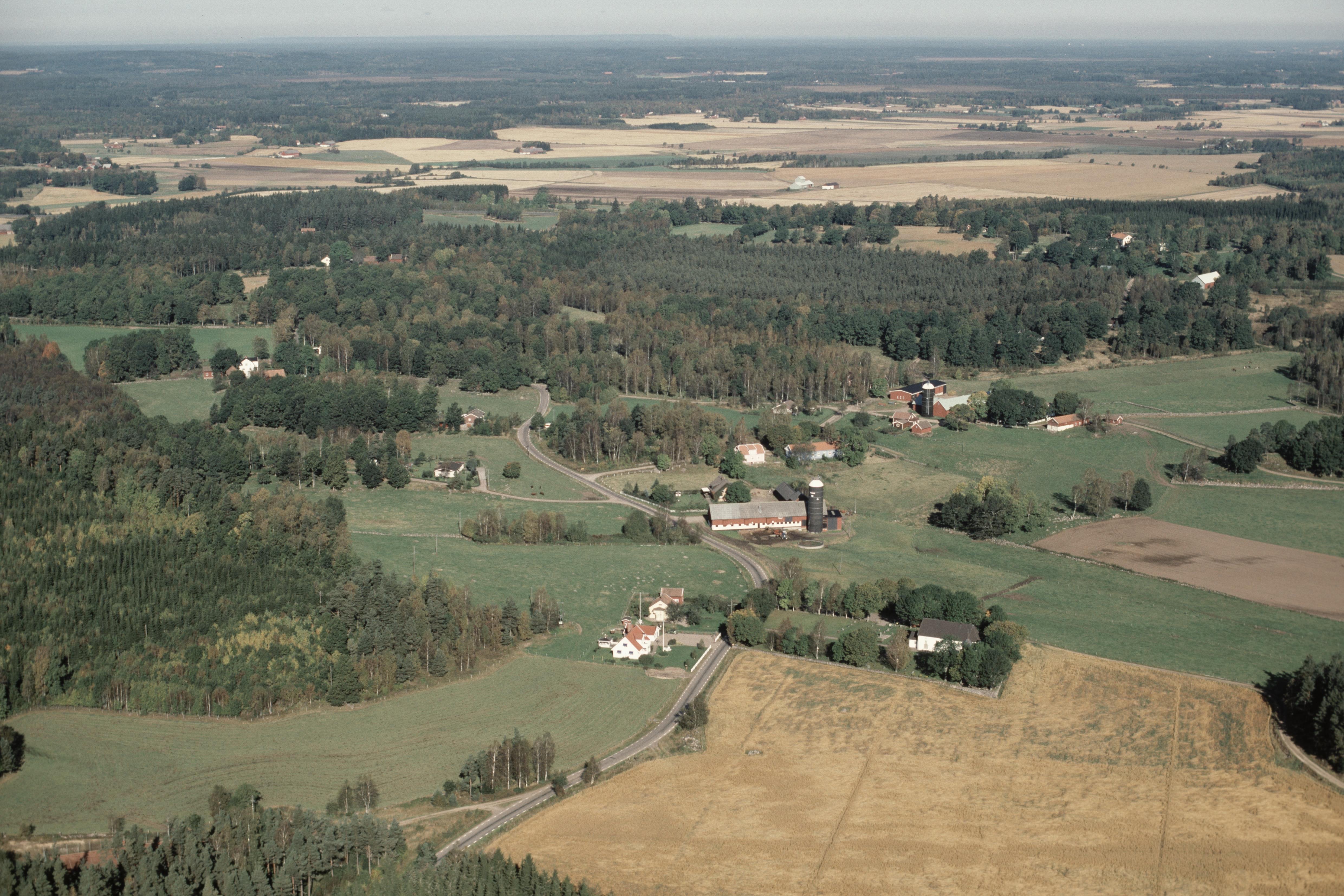 Jan Norrman, Siene