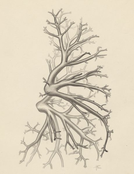 J Tinkelenberg, Bronchi