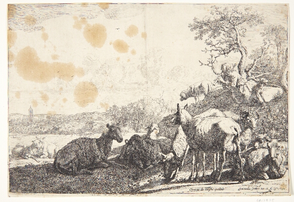 Paulus Potter, Hyrden