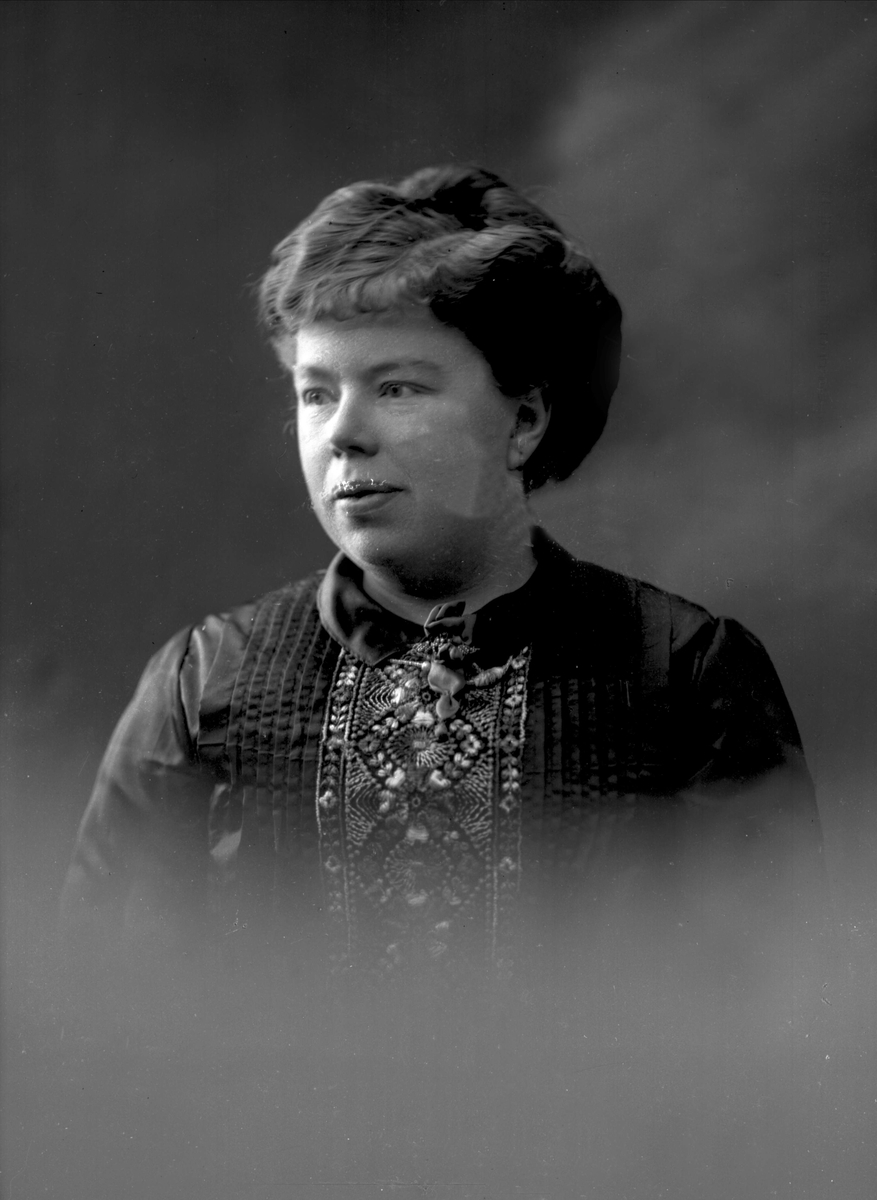Gustav Borgen, NFB.09875
