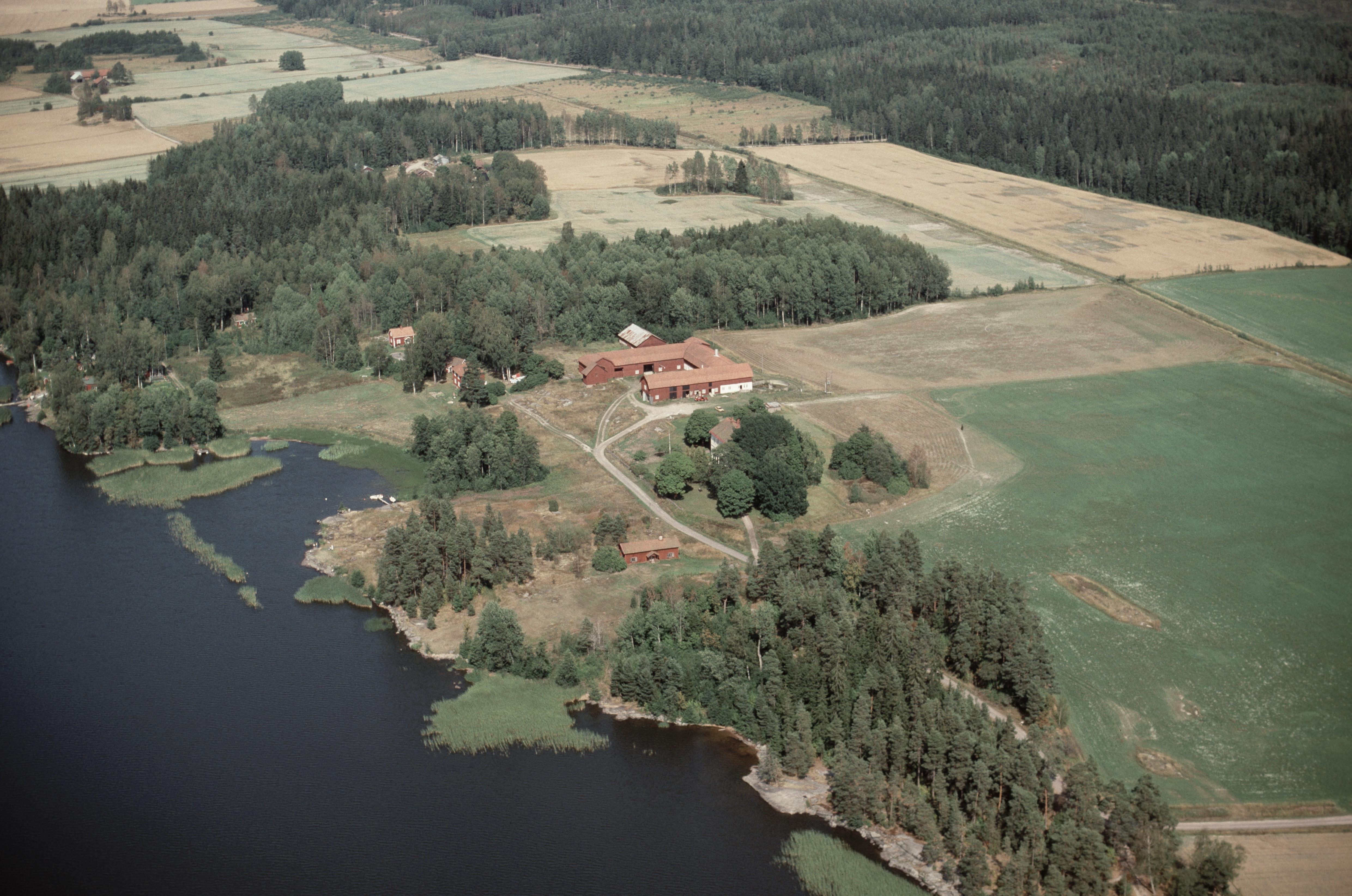 Jan Norrman, Alster 46:1