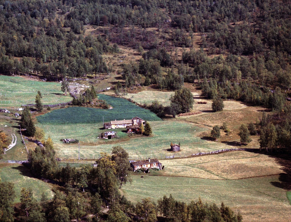 Widerøes Flyveselskap A/S, Seteranlegg.