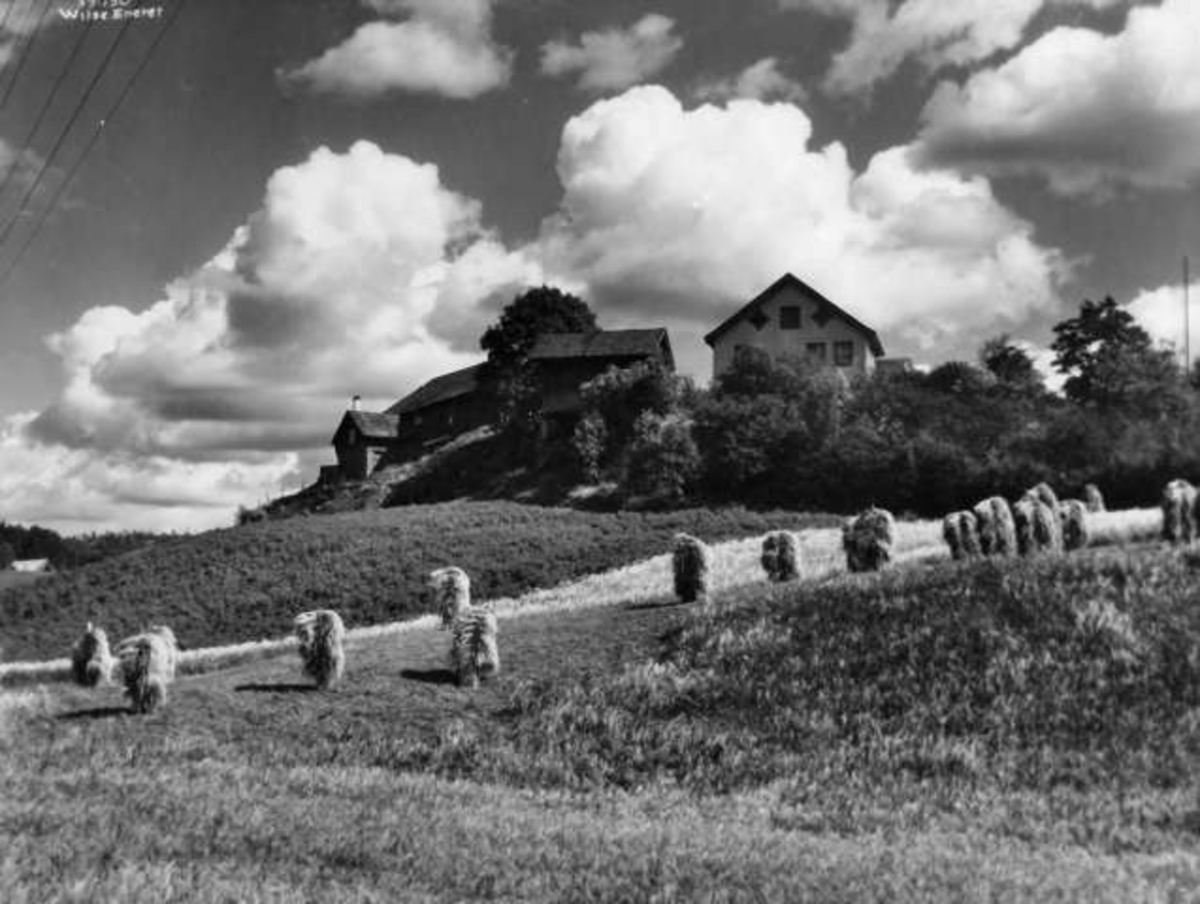 Anders Beer Wilse, -8109