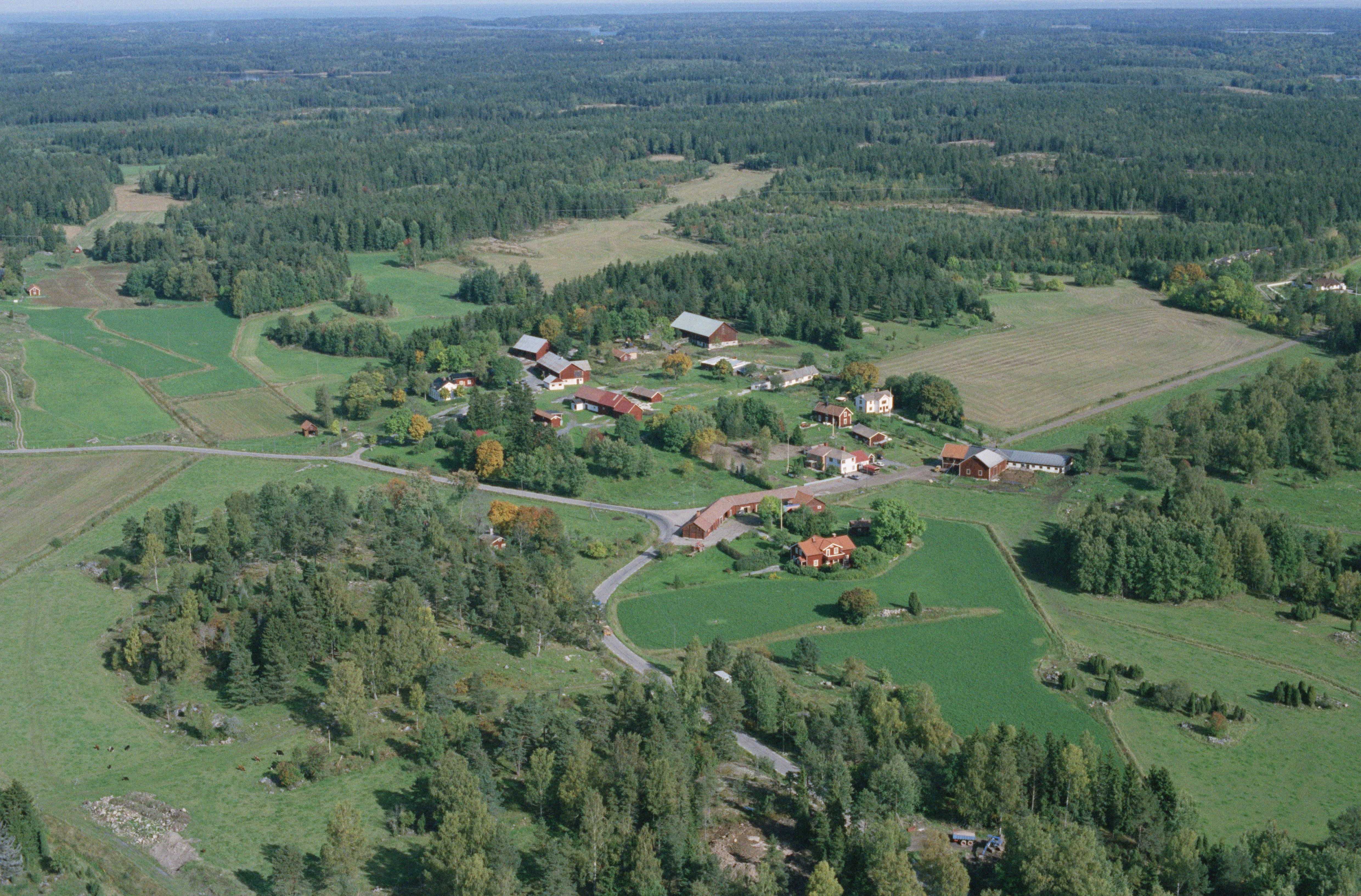 Jan Norrman, Anderssvedja