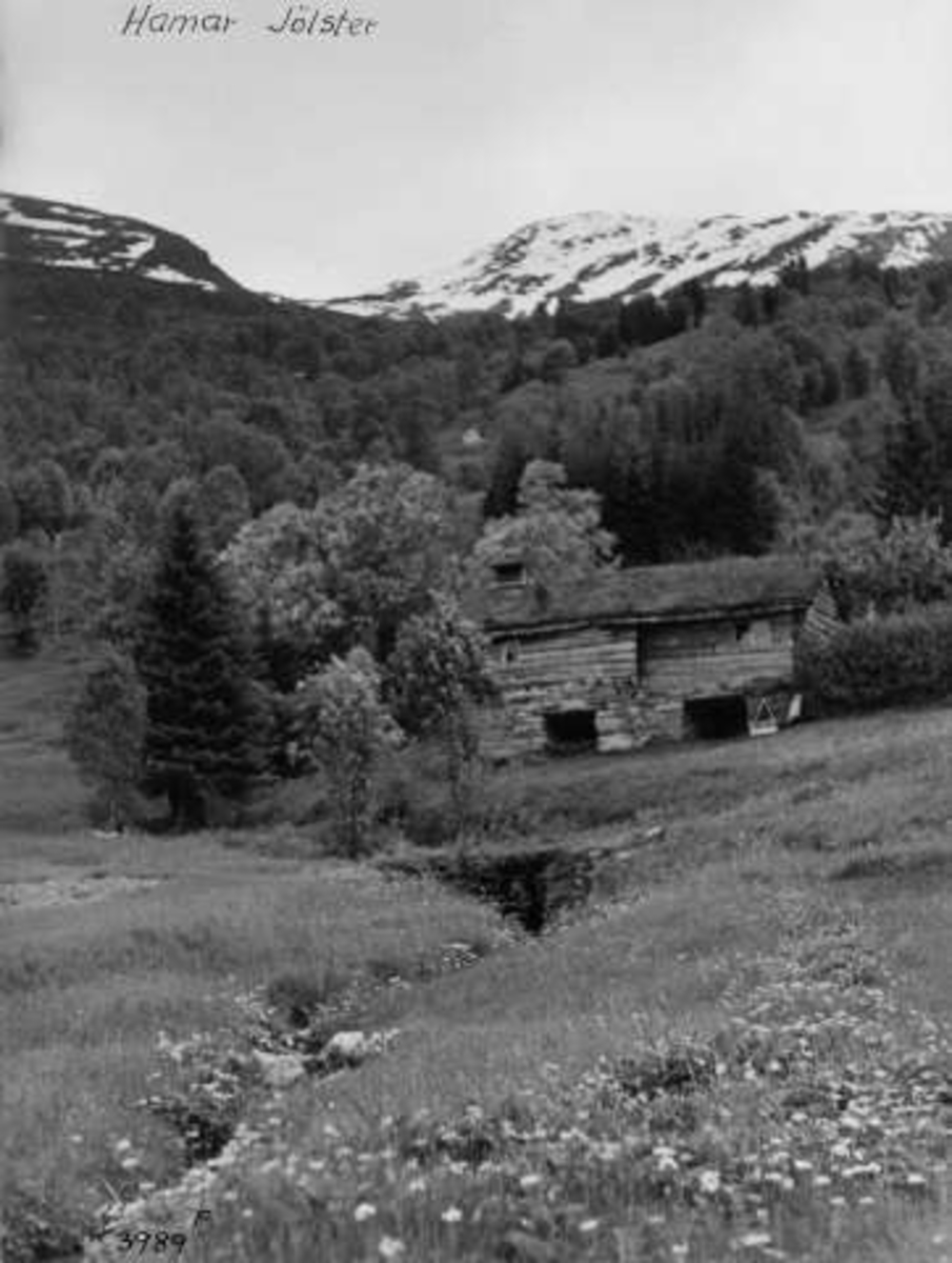 Anders Beer Wilse, -6637