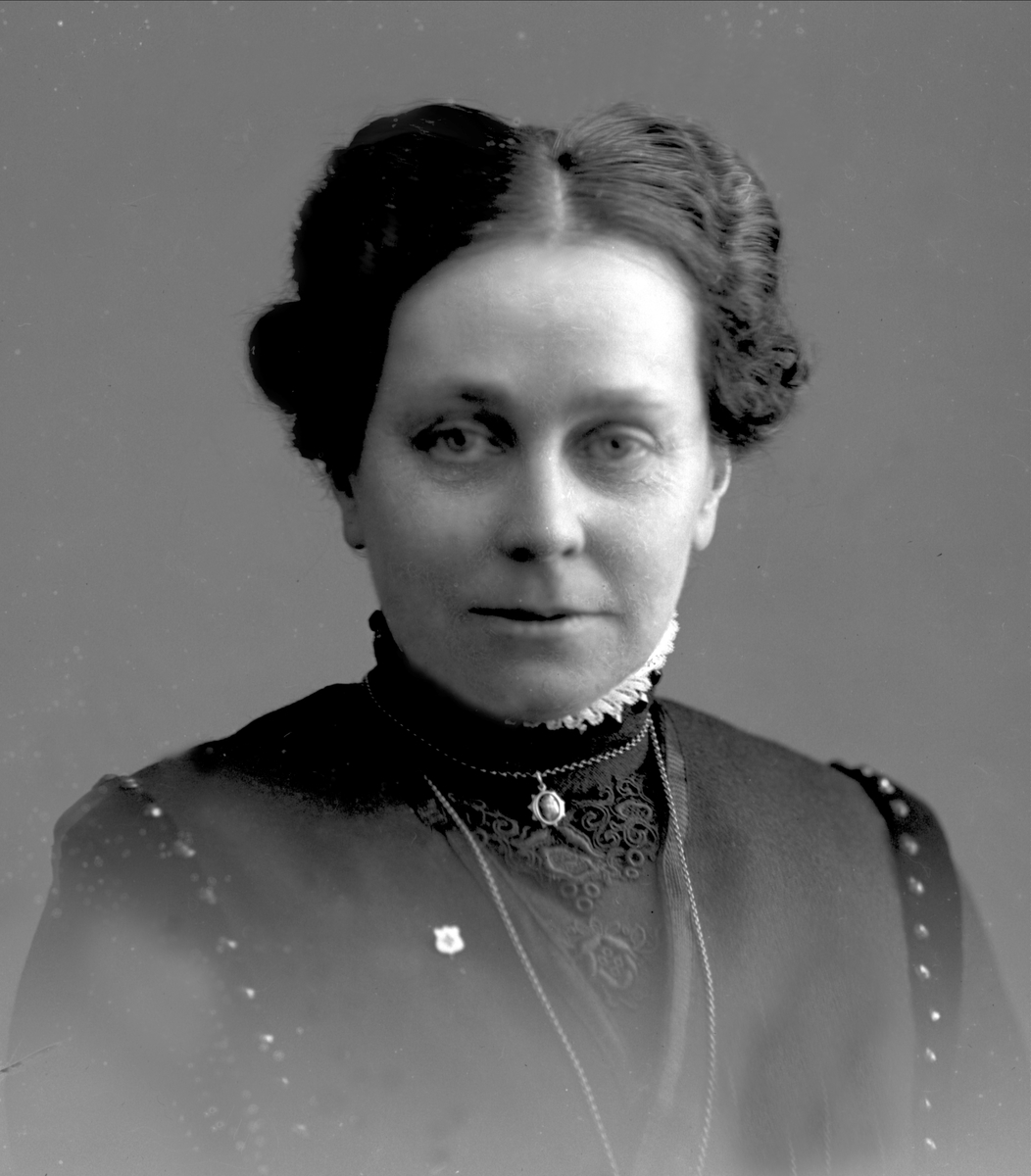 Gustav Borgen, NFB.29250
