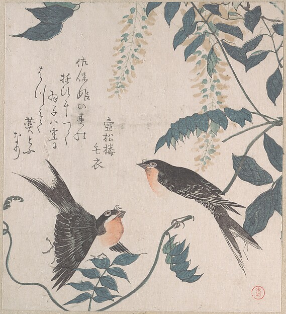 Kubo Shunman, Swallows and Wisteria