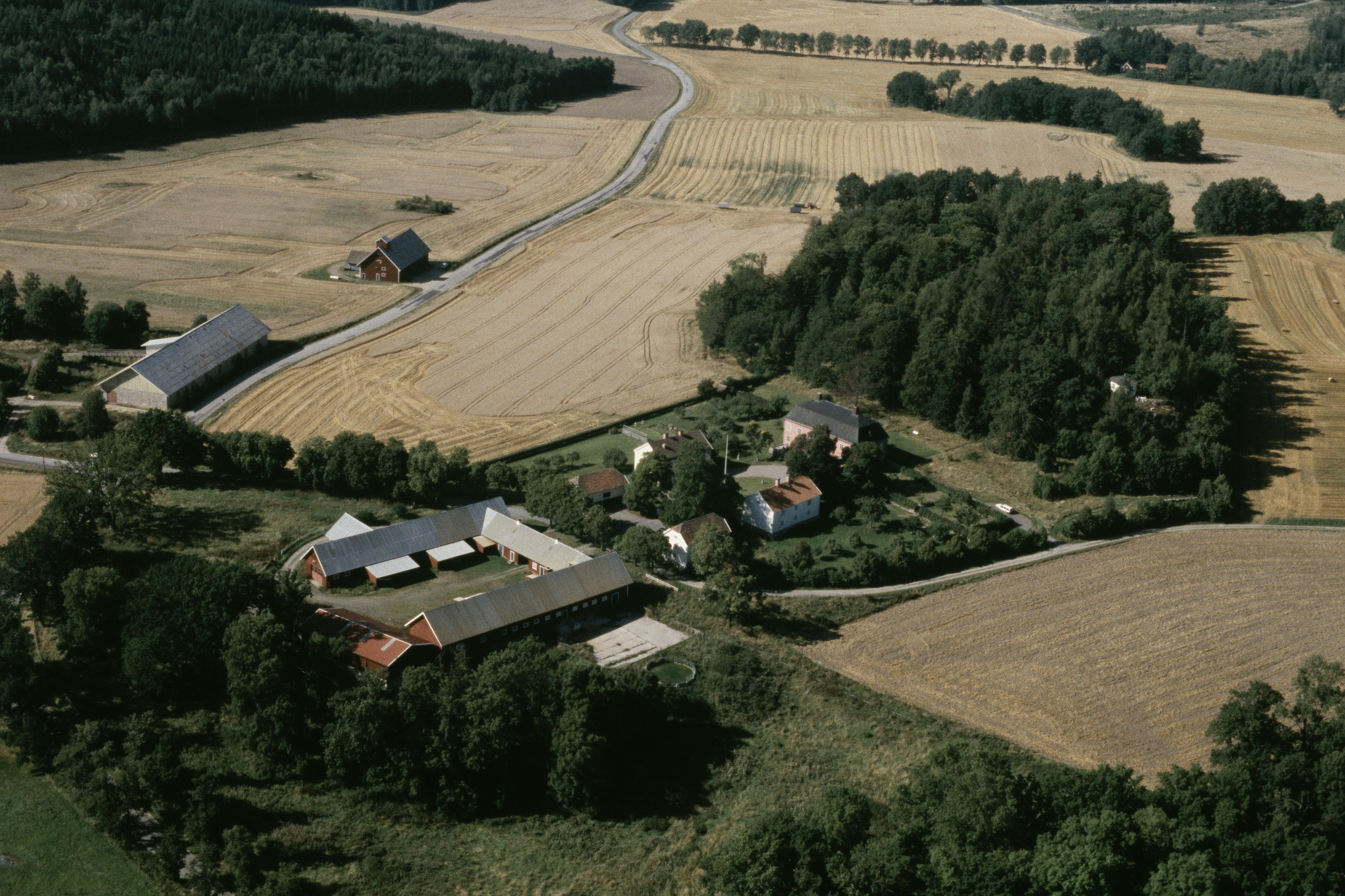 Jan Norrman, Björneberg