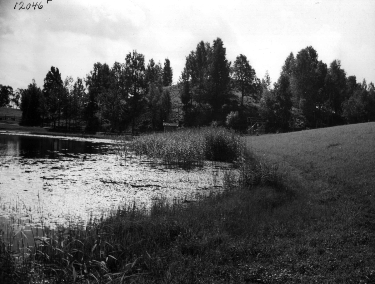 Anders Beer Wilse, Gravhaug Raknehaugen fra nord