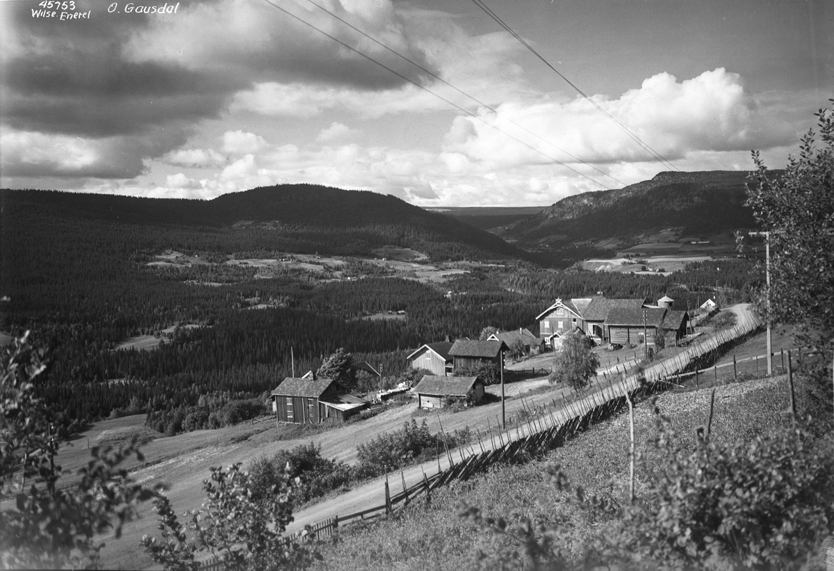 Anders Beer Wilse, Prot: Ø. Gausdal, mot V Gausdal