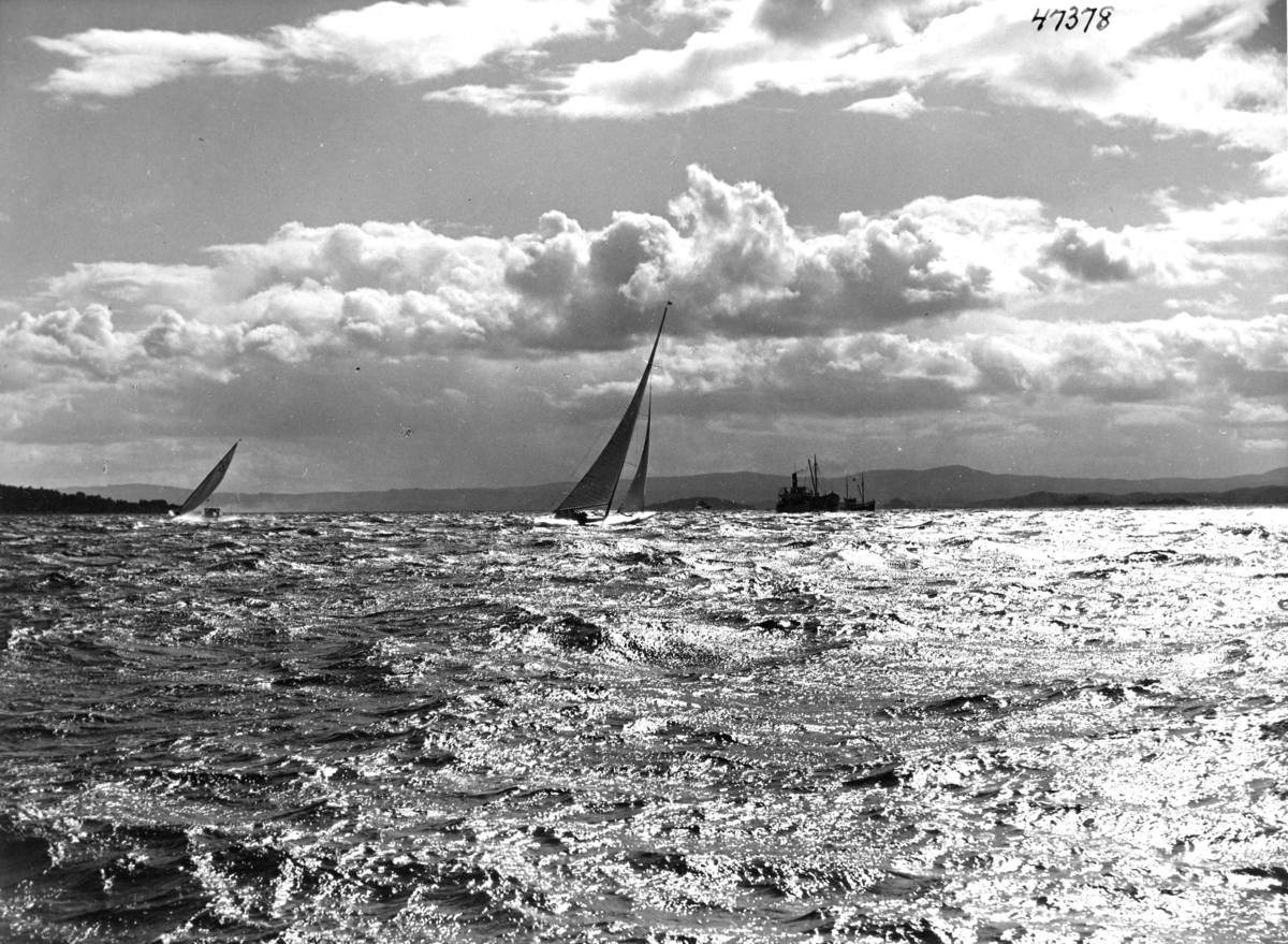 Anders Beer Wilse, Seilsport