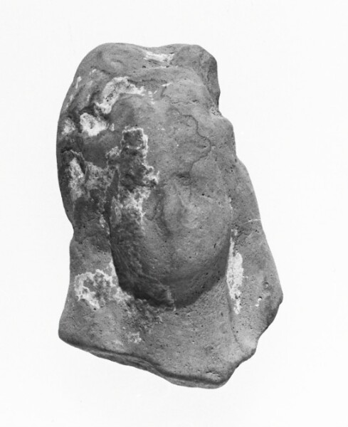 Unknown, Female Head