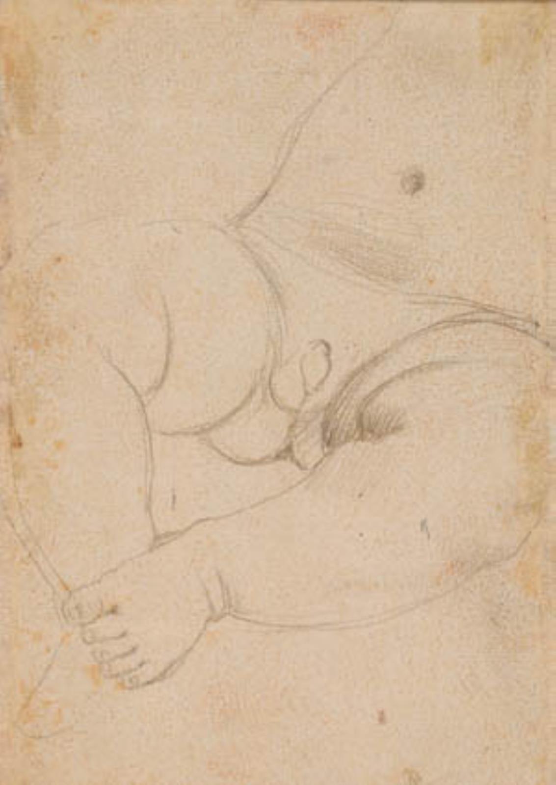 Hans Baldung Grien, Mave , skød og ben af en smådreng