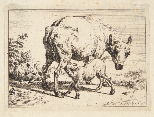 Adriaen van de Velde, Får og to lam
