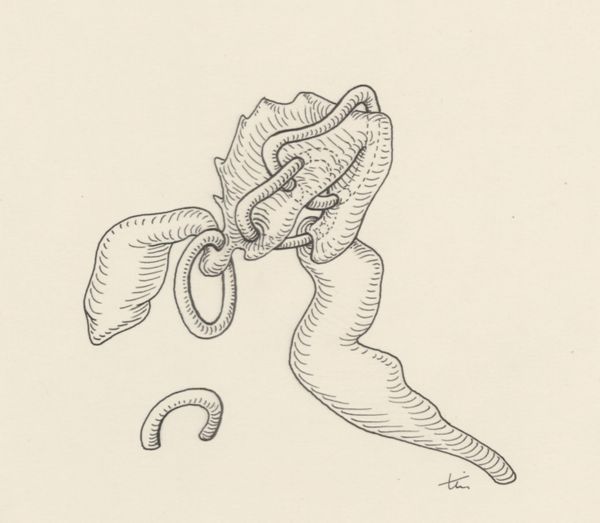 J Tinkelenberg, Part of the heart