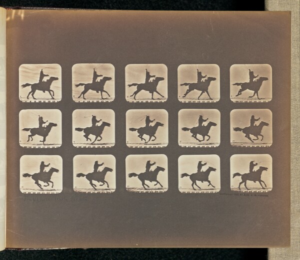 Eadweard J. Muybridge, Mexican with Riata