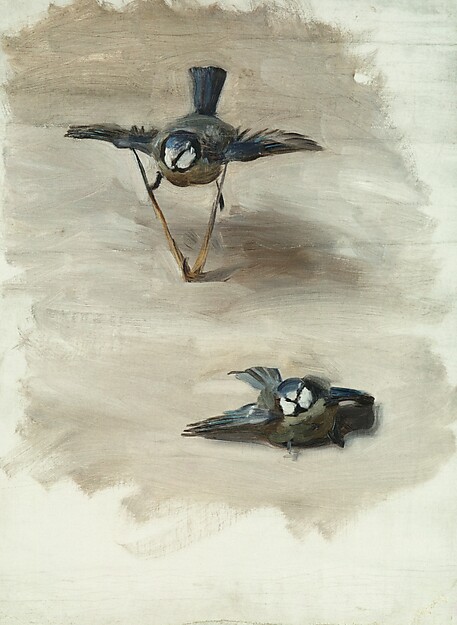 John Singer Sargent, Studies of a Dead Bird