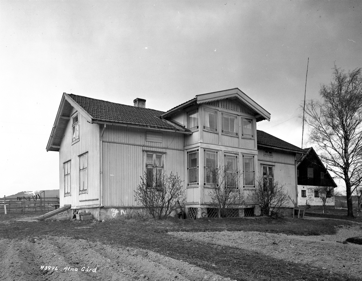 Anders Beer Wilse, Prot: Alna gård