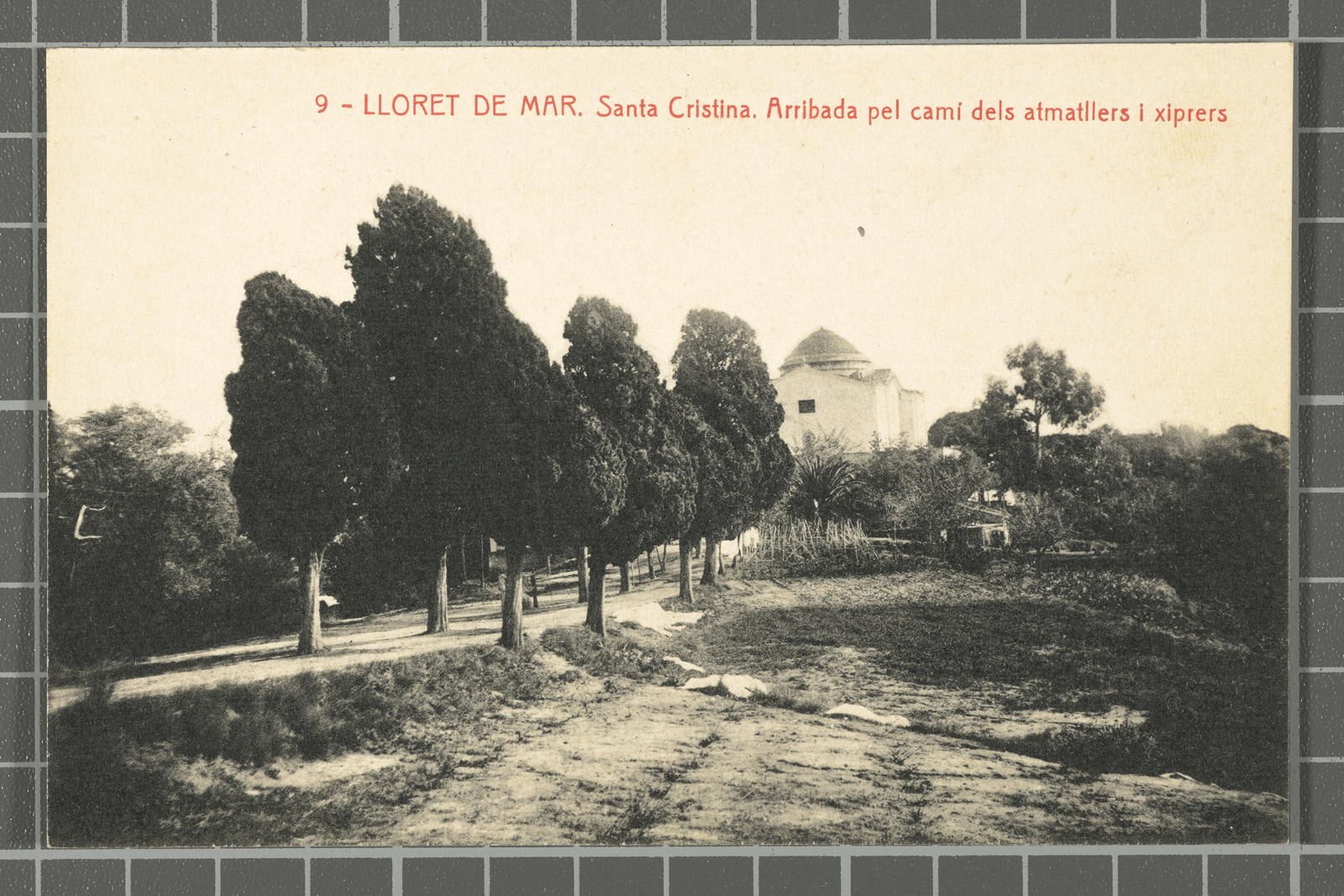 Desconegut, 9 - Lloret de Mar. Santa Cristina. Arribada pel camí dels atmatllers i xiprers